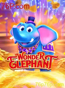 Descubra o Fascinante Mundo de WonderElephant